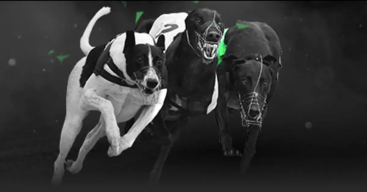 库里轰,分波杰刷新,个人纪录,网球直播,Tennis,Sports,网球直播官网,网球直播体育官网,网球直播体育下载,网球直播APP