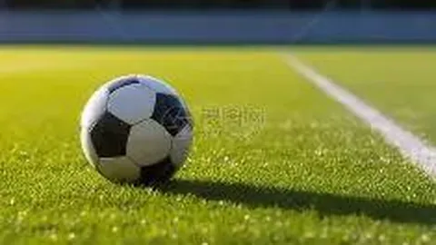 赖因德斯指出：教练换下莱奥因失误过多，责任在己