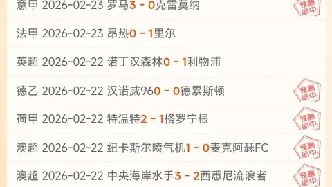 水晶宫球迷调侃图多尔：疑似明日被解雇