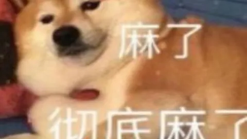 林诗栋逆转安宰贤，3-2闯入WTT重庆赛八强