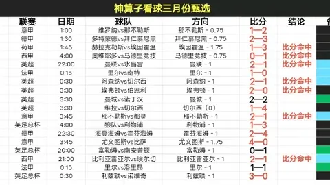 “传奇落幕：曼城名宿马尔穆什在队内边缘化之旅